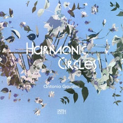 Harmonic Circles