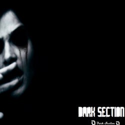 Dark Section Best Seller