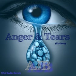 Anger & Tears (Il Adore) (USA Radio Remix)