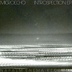 Introspection - EP