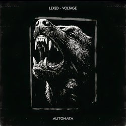 Voltage