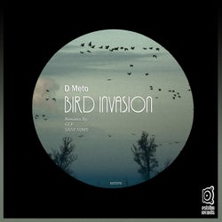 Bird Invasion
