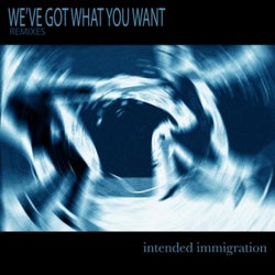 We've Got What You Want (Remixes)