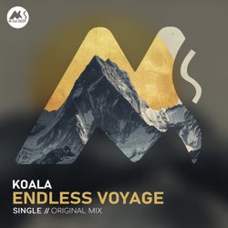 Endless Voyage