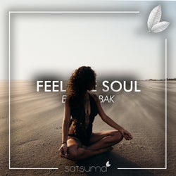 Feel the Soul