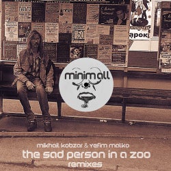 The Sad Person in a Zoo Remixes