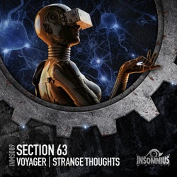 Voyager / Strange Thoughts