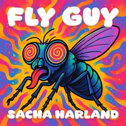 Fly Guy (Extended Mix)