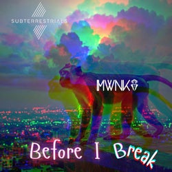 Before I Break