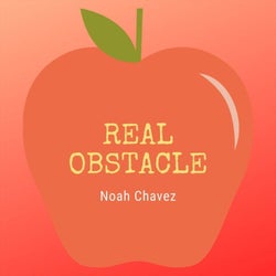 Real Obstacle