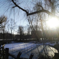 Frozen pond