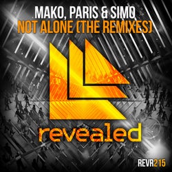 Not Alone - The Remixes