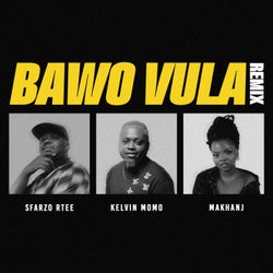 Bawo Vula (Remix)