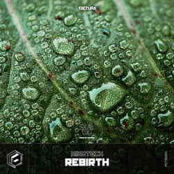 Rebirth