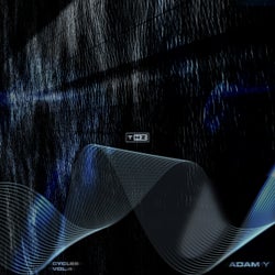Cycles Vol. 4
