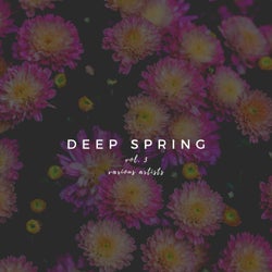 Deep Spring, Vol. 3