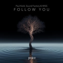 Follow You (Extended Mix)