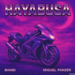 Hayabusa