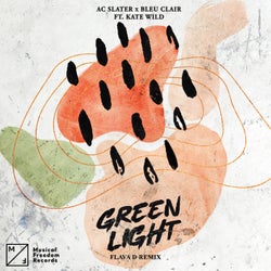 Green Light (feat. Kate Wild) [Flava D Extended Remix]