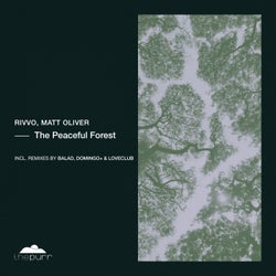 The Peaceful Forest