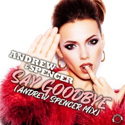 Say Goodbye (Andrew Spencer Mix)