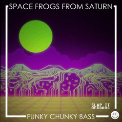Funky Chunky Bass