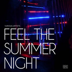 Feel The Summer Night