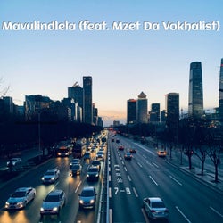 Mavulindlela (feat. Mzet Da Vokhalist)