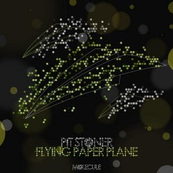 Flying Paper Plane