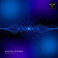 Digital Echoes