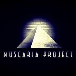 Techno Art Selection // Muscaria Project