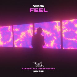 Feel (Extended Mix)