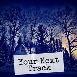 Your Next Track, Vol. 8