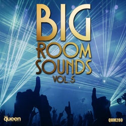 Big Room Sounds, Vol. 5