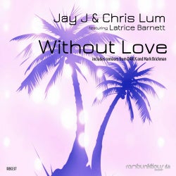 Without Love (Remixes)