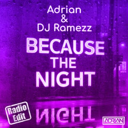 Because the Night (Radio Edit)