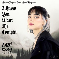 I Know You Want Me Tonight (Remix)