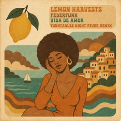 Vida De Amor ( Turntables Night Fever Remix )