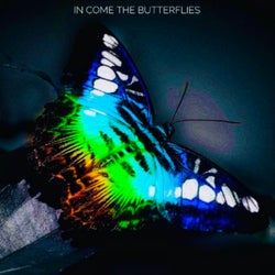 In Come The Butterflies