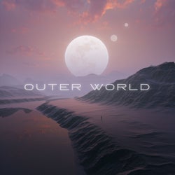 Outer World