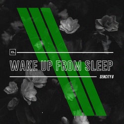 Wake up from sleep