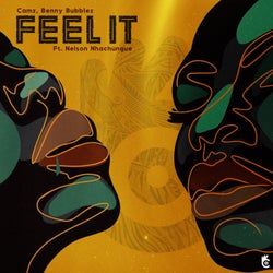 Feel It (feat. Nelson Nhachungue)