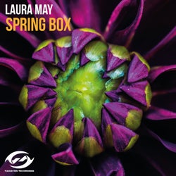 Spring Box