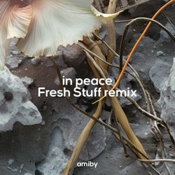 In Peace (Fresh Stuff Remix)