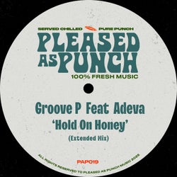 Hold On Honey (Extended Mix)