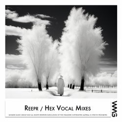 Hex Vocal Mixes