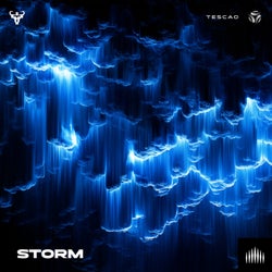 Storm (Extended Mix)