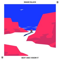 Sexy and I Know It (Remixes)