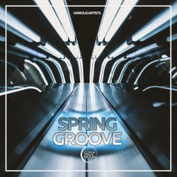 Spring Groove