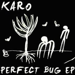 Perfect Bug EP